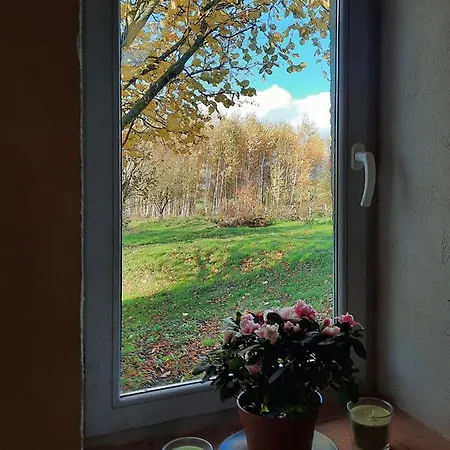 Apartment Ekskluzywny Apartament Na Warminskiej Wsi Tlokowo-mikulowo